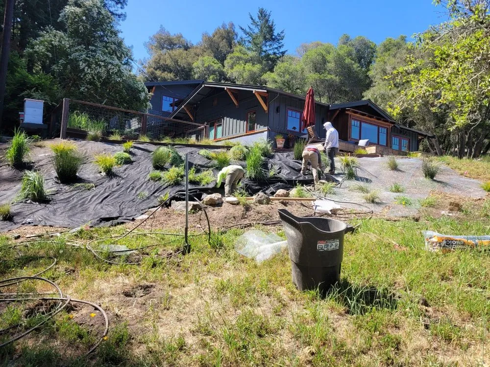 Local yard cleanup service for beautiful yards across Santa Cruz, CA - Mario's Gardens