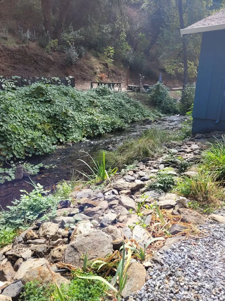 Expert outdoor landscaping experts serving Santa Cruz, CA - Mario's Gardens