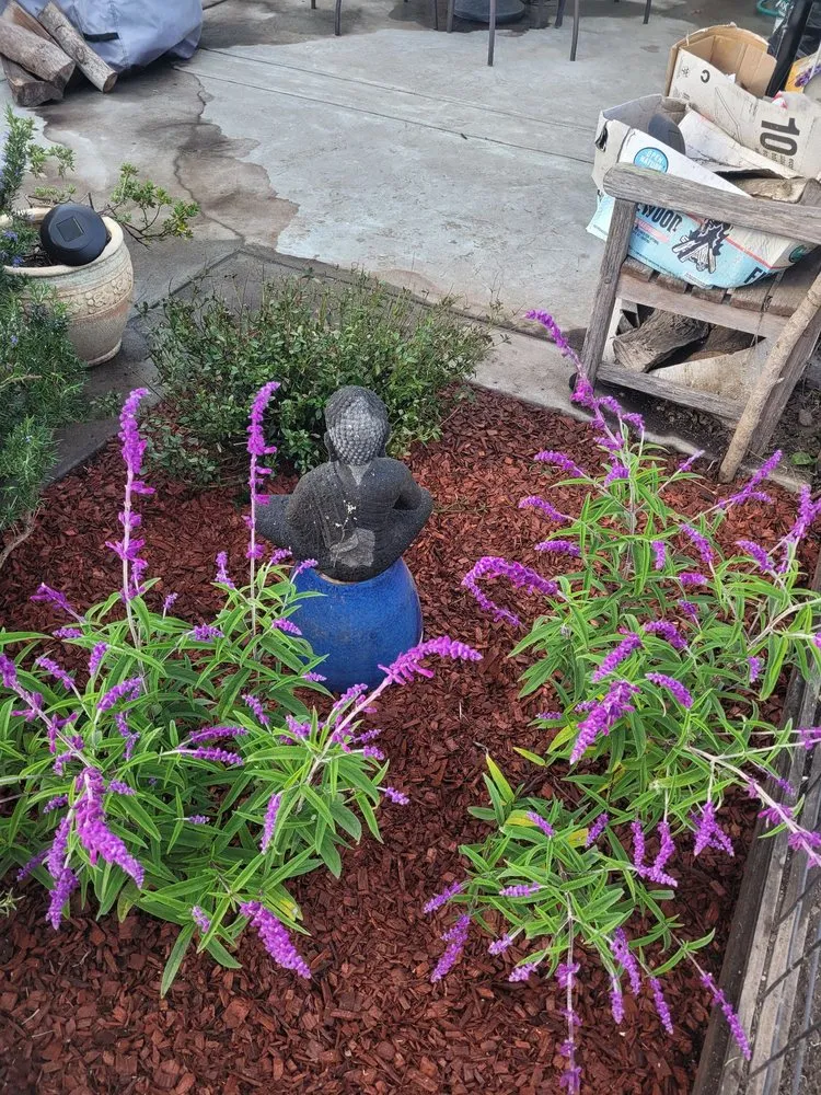 Professional residential landscaping in Santa Cruz, CA - Mario's Gardens