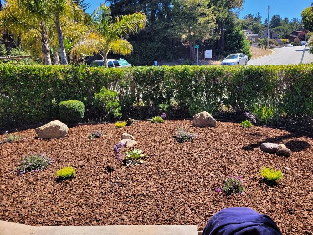 Trusted yard maintenance in Santa Cruz, CA by Mario's Gardens