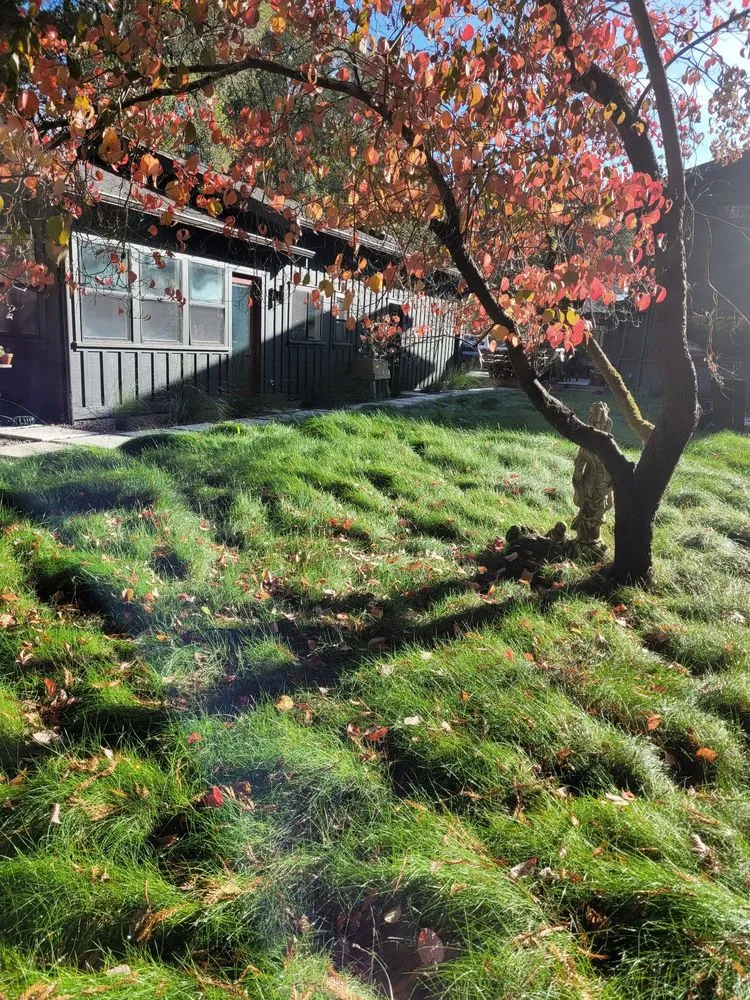 Top-rated landscaping services in Santa Cruz, CA by Mario's Gardens