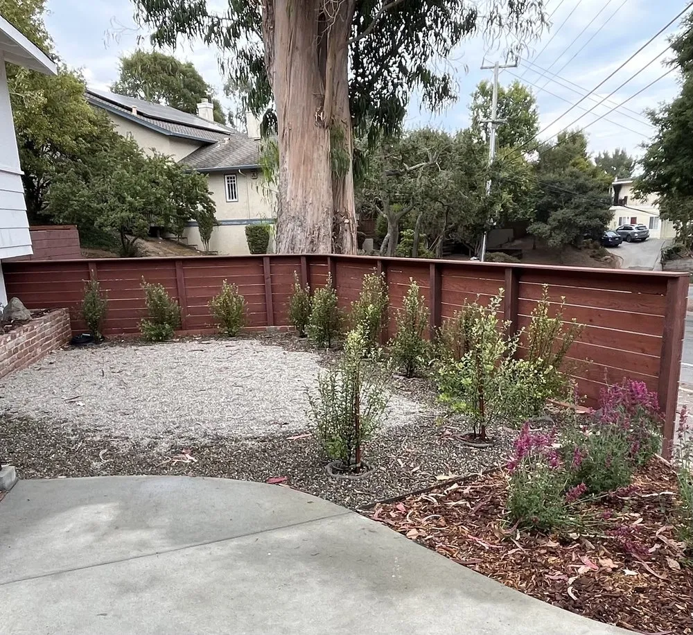 Expert landscape design for residential properties across Santa Cruz, CA - Mario's Gardens