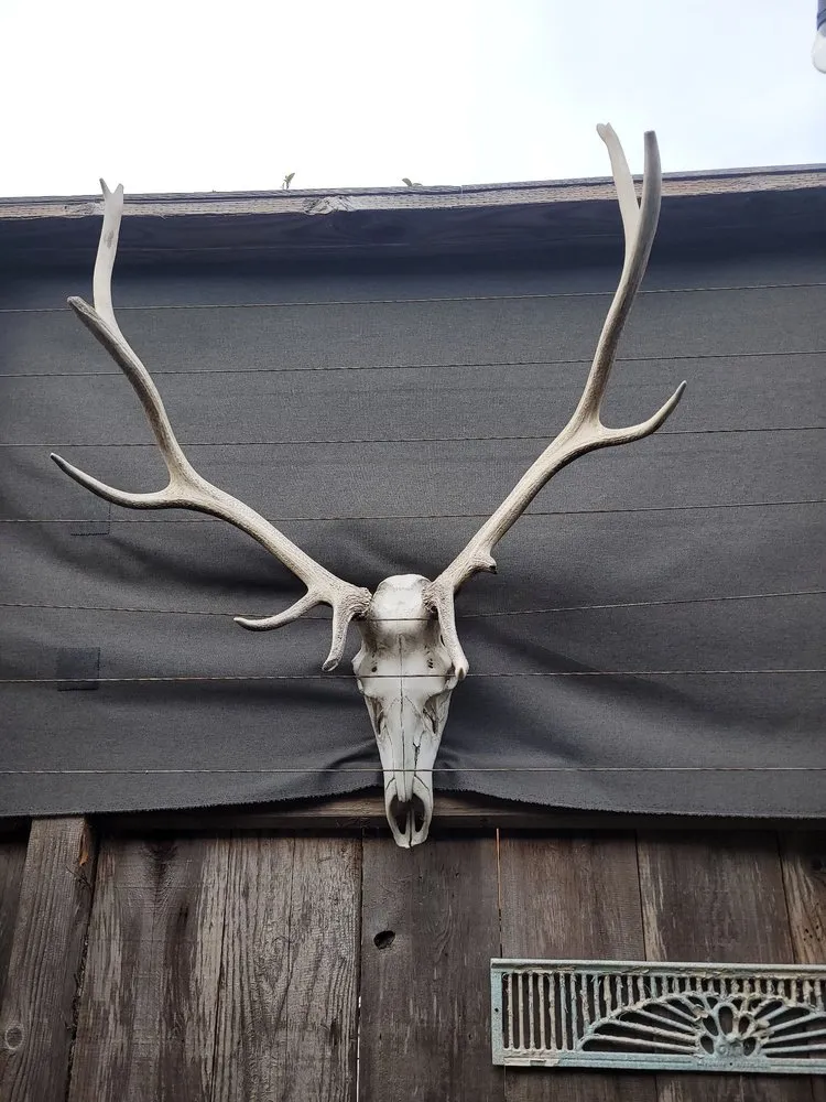 Custom landscape design for homes across Santa Cruz, CA - Mario's Gardens