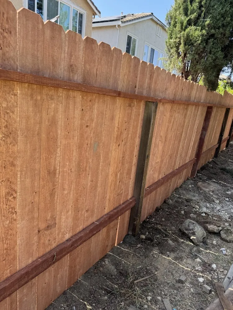 Expert yard maintenance in Bay Point, CA - Mario's Handyman Services