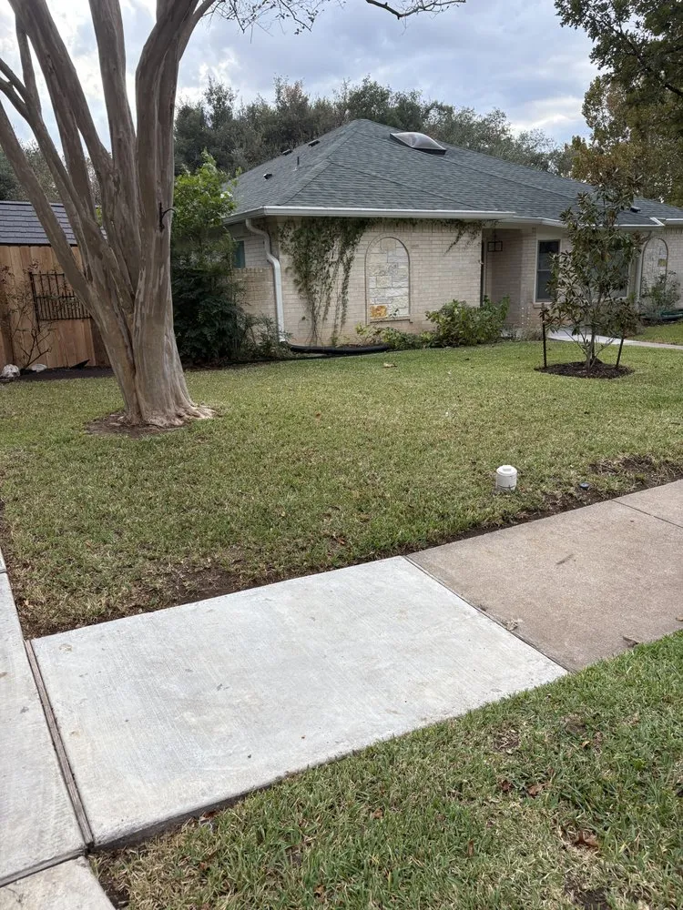 Local landscaping services in Pflugerville, TX by Mario’s Home & Lawn Care