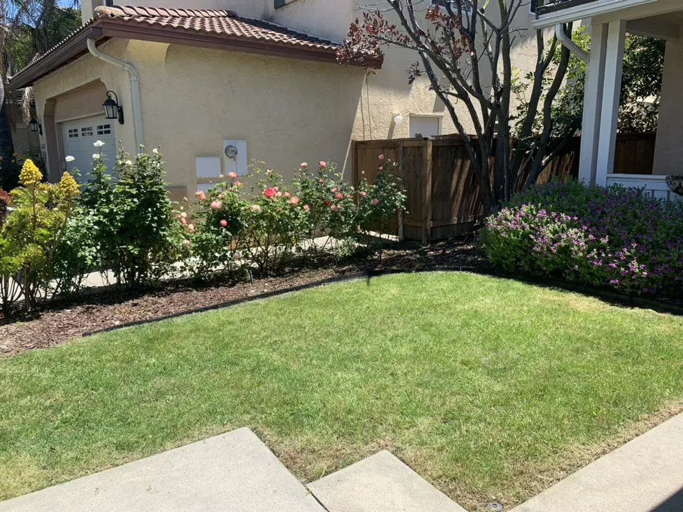 Local landscape design with custom design in Chula Vista, CA by Mario’s Landscape & Uhaul