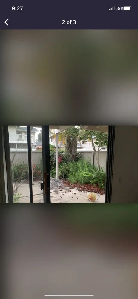 Professional lawn mowing service experts serving Chula Vista, CA - Mario’s Landscape & Uhaul