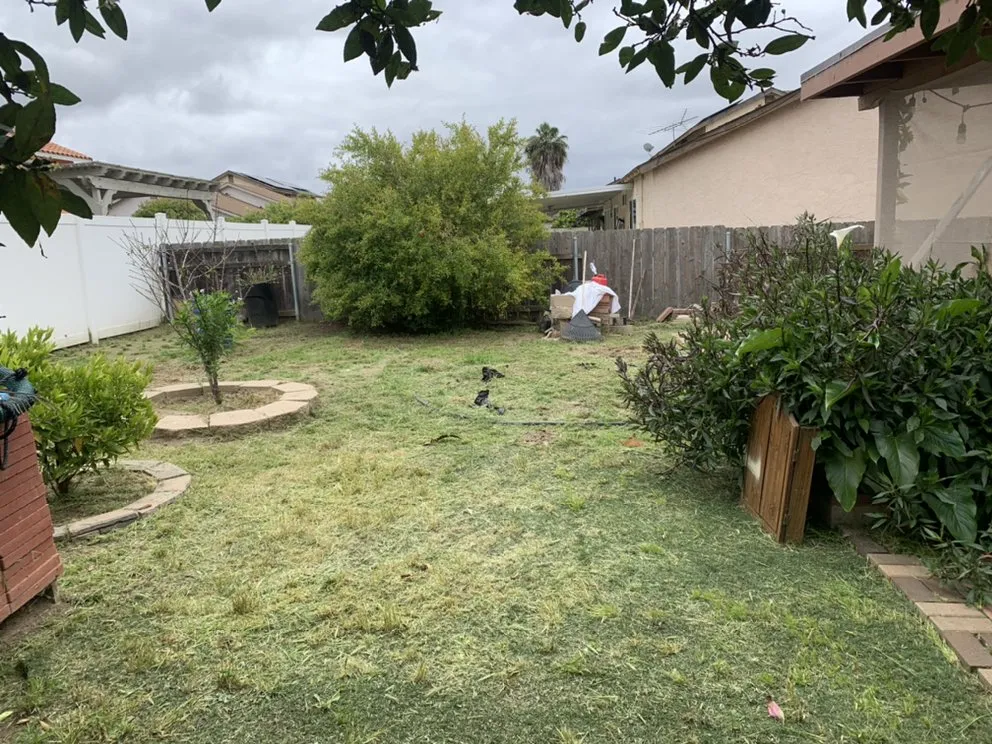 Professional yard cleanup service for outdoor upgrades in Chula Vista, CA by Mario’s Landscape & Uhaul
