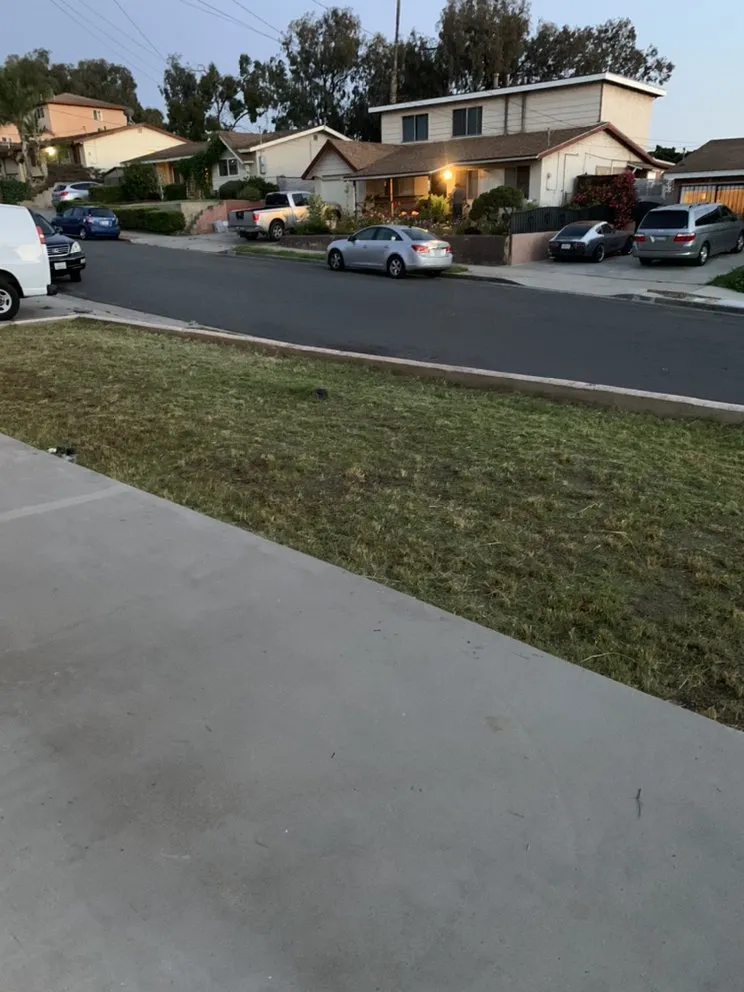 Reliable yard maintenance in Chula Vista, CA by Mario’s Landscape & Uhaul