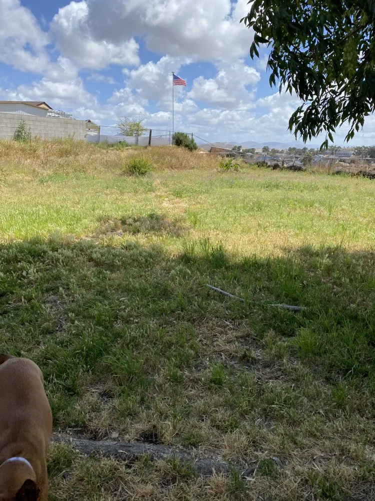 Trusted landscaping services experts serving Chula Vista, CA - Mario’s Landscape & Uhaul