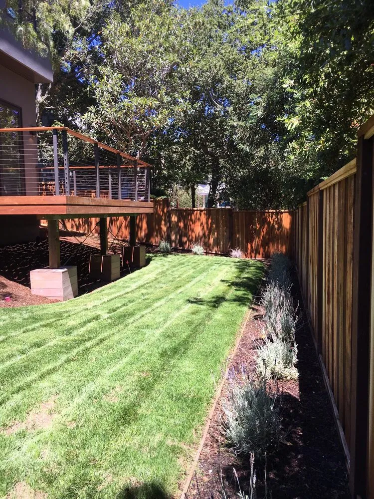 Affordable yard maintenance with custom design across Sunnyvale, CA - Mario's Landscape And Tree Care