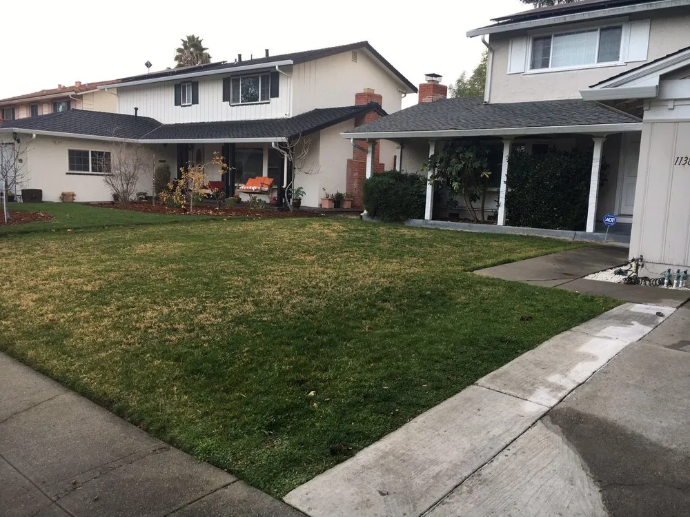Expert landscape installation in Sunnyvale, CA - Mario's Landscape And Tree Care