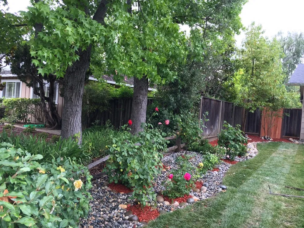 Affordable outdoor landscaping experts serving Sunnyvale, CA - Mario's Landscape And Tree Care