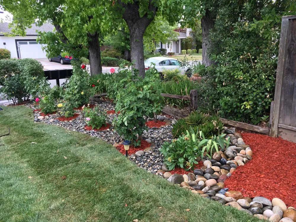 Professional lawn mowing service in Sunnyvale, CA - Mario's Landscape And Tree Care