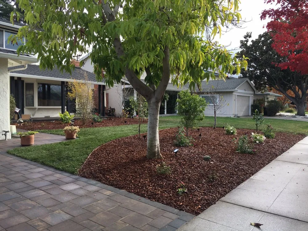 Top-rated outdoor landscaping experts serving Sunnyvale, CA - Mario's Landscape And Tree Care