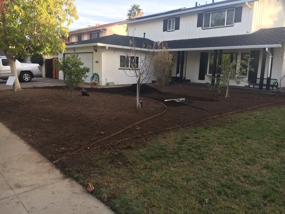 Local yard maintenance experts serving Sunnyvale, CA - Mario's Landscape And Tree Care