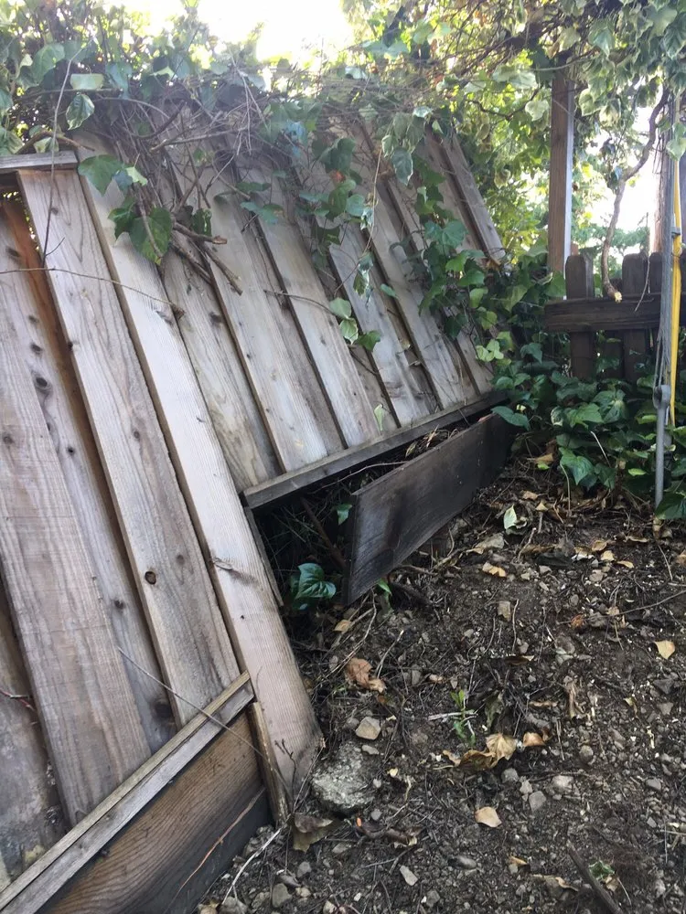 Reliable landscape design in Sunnyvale, CA - Mario's Landscape And Tree Care