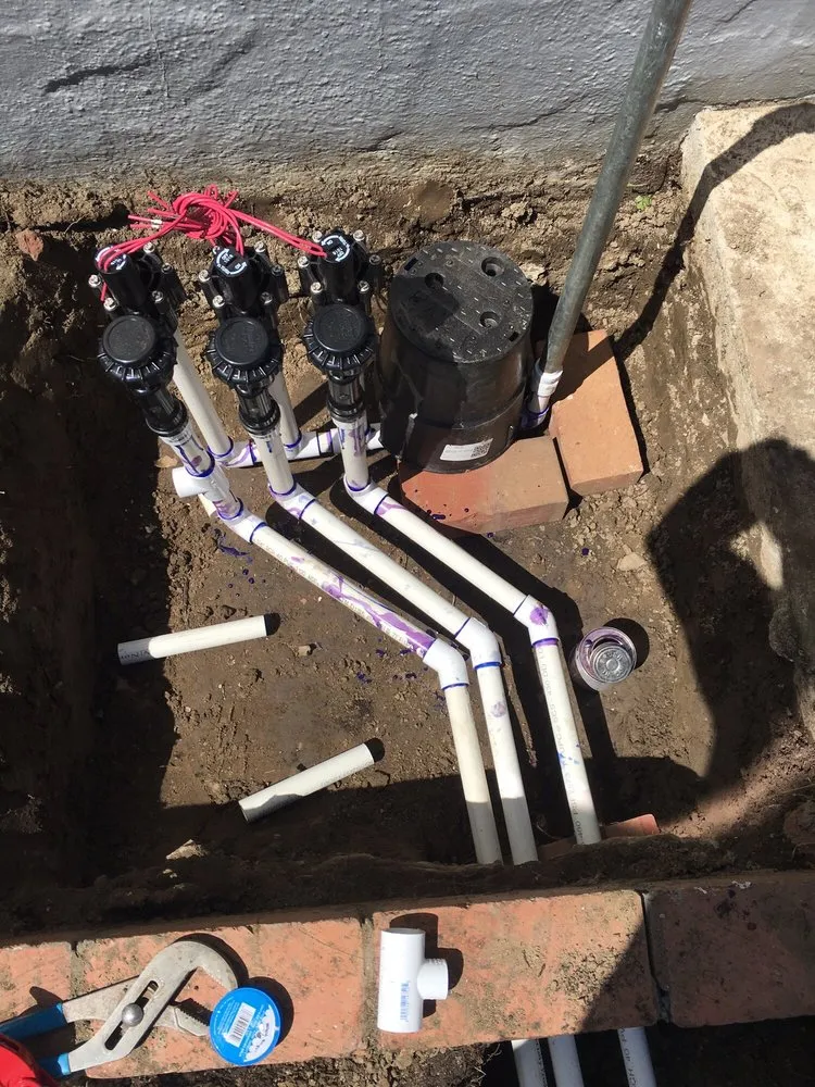 Expert outdoor landscaping in Sunnyvale, CA - Mario's Landscape And Tree Care