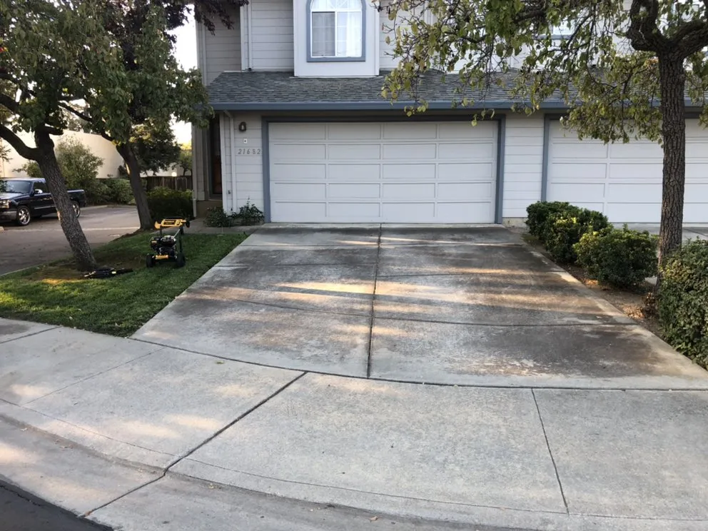 Reliable yard maintenance for year-round maintenance across Sunnyvale, CA - Mario's Landscape And Tree Care