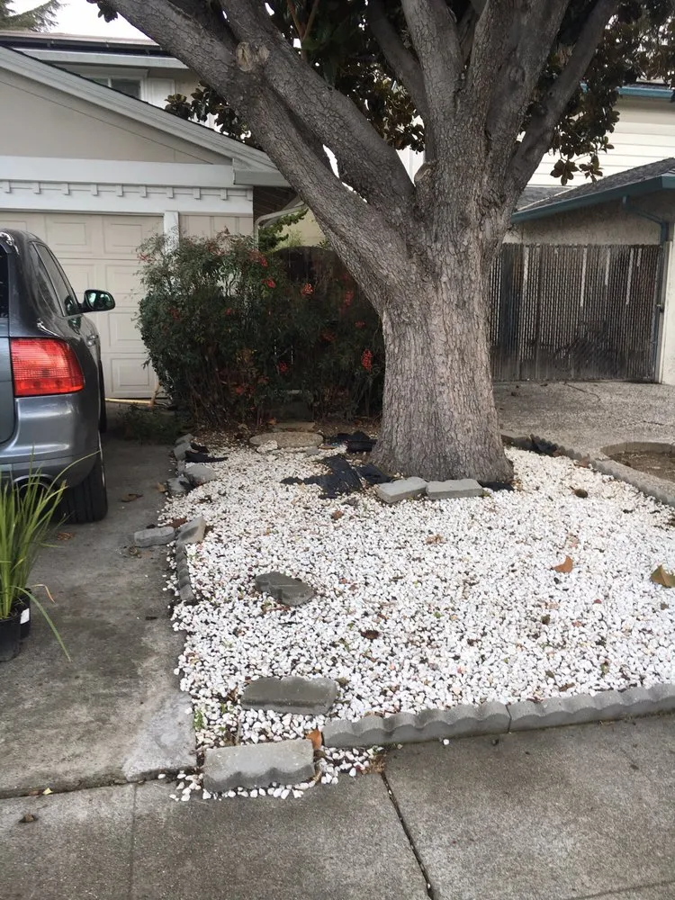 Custom residential landscaping for beautiful yards in Sunnyvale, CA by Mario's Landscape And Tree Care
