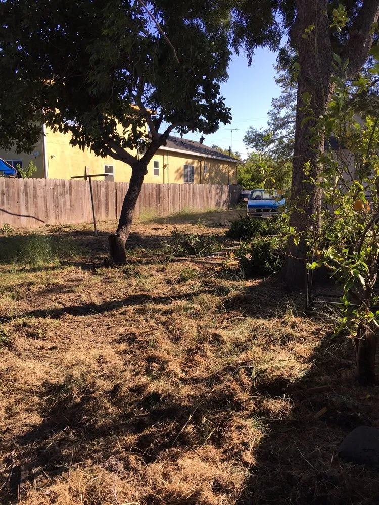 Custom landscape design in Sunnyvale, CA by Mario's Landscape And Tree Care
