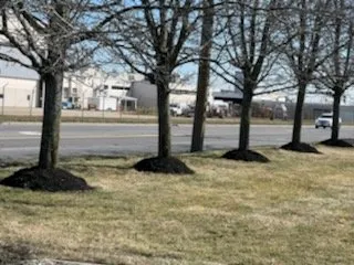 Expert lawn care service in Central Islip, NY by Mario’s Landscape