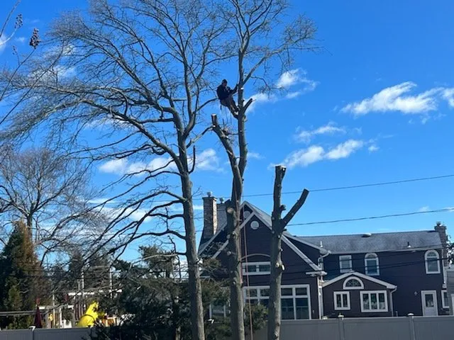 Local lawn care service experts serving Central Islip, NY - Mario’s Landscape