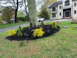 Professional yard maintenance experts serving Central Islip, NY - Mario’s Landscape