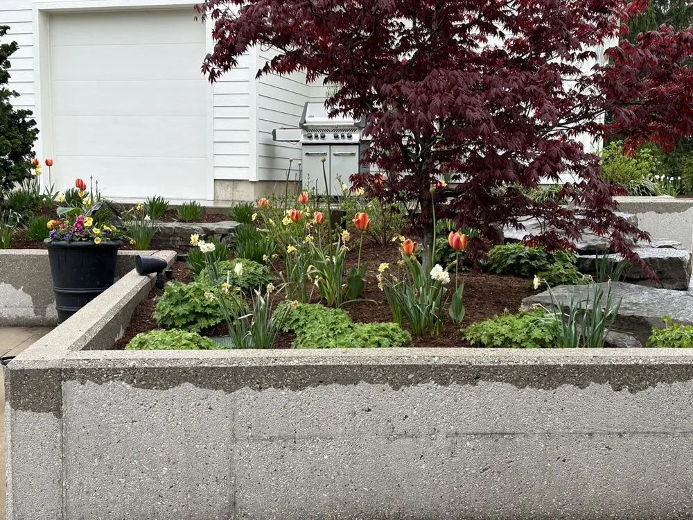 Affordable lawn mowing service in Frankfort, MI by Mario's Landscape Maintenance