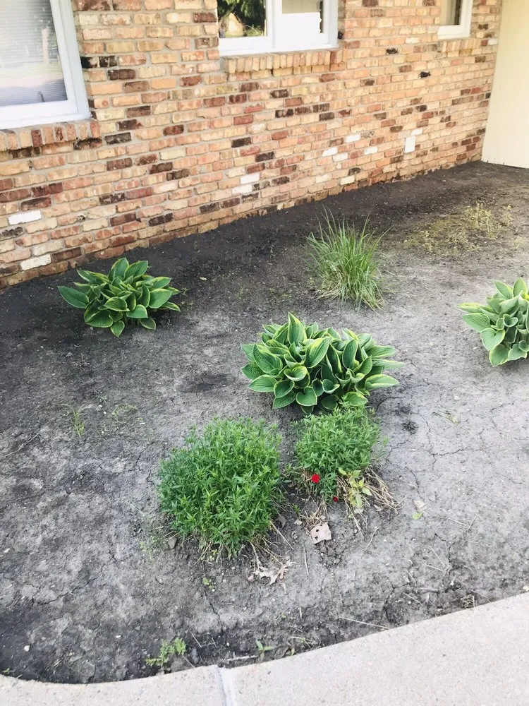 Affordable landscaping services experts serving Ramsey, MN - Mario’s Landscape