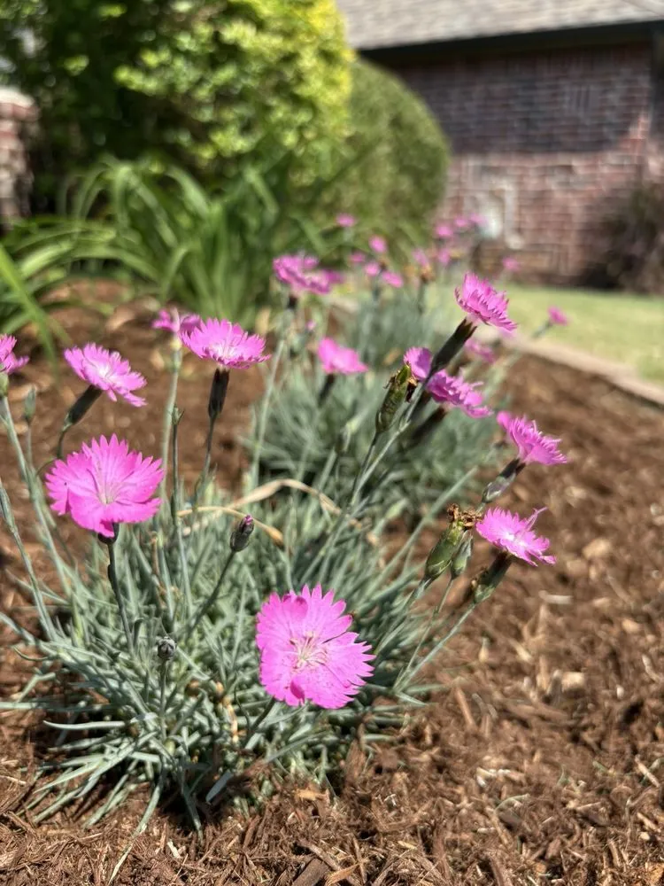 Expert outdoor landscaping in Tulsa, OK - Marios Landscaping & More