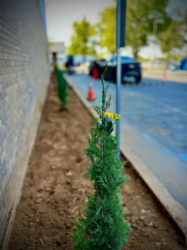 Professional yard cleanup service experts serving Tulsa, OK - Marios Landscaping & More