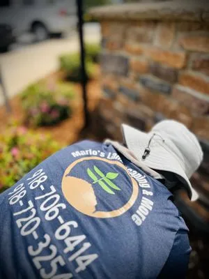 Marios Landscaping & More