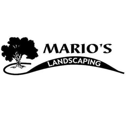 Top-rated residential landscaping in Aurora, IL by Mario's Landscaping