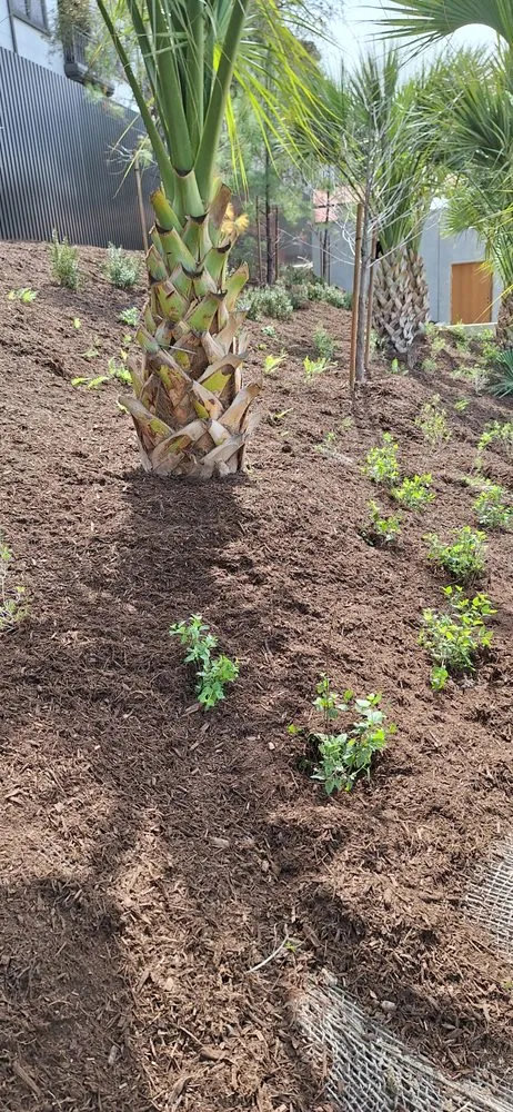 Custom garden landscaping in Cleveland, TX - Marios landscaping