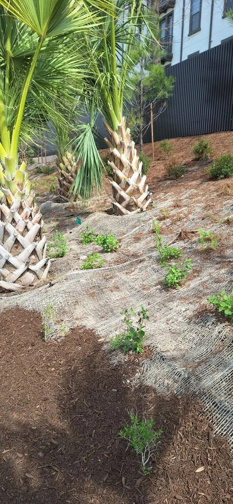 Trusted lawn care service experts serving Cleveland, TX - Marios landscaping