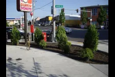 Professional landscape installation in Cranston, RI by Mario's Landscaping