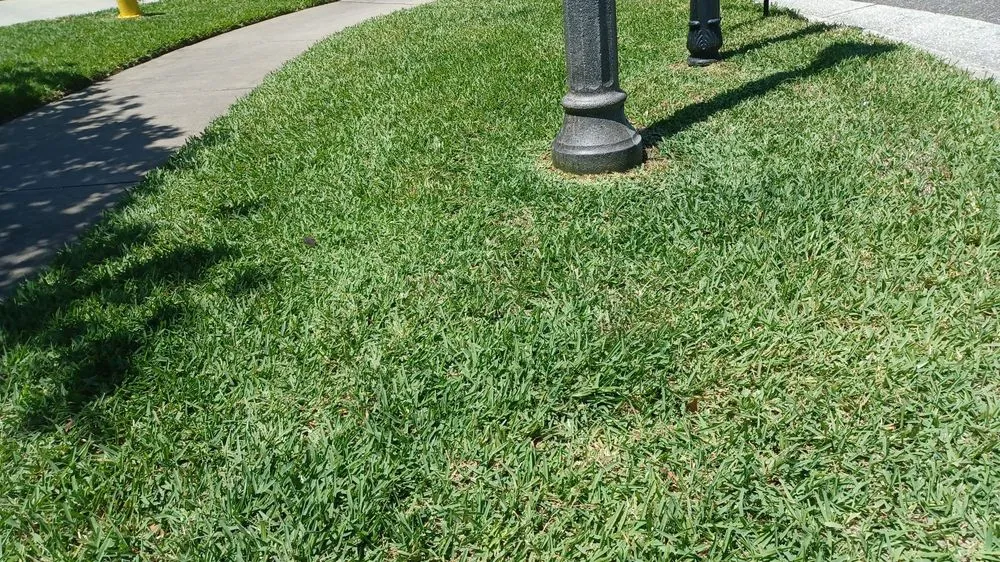 Affordable residential landscaping in Jacksonville, FL by Marios Landscaping Jax