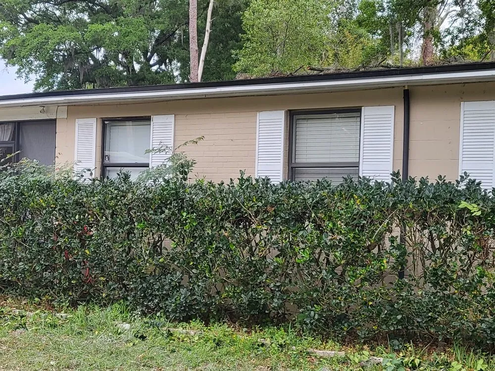 Affordable lawn care service in Jacksonville, FL by Marios Landscaping Jax