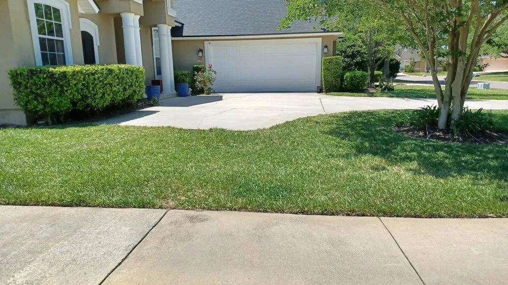 Trusted yard cleanup service for beautiful yards in Jacksonville, FL by Marios Landscaping Jax
