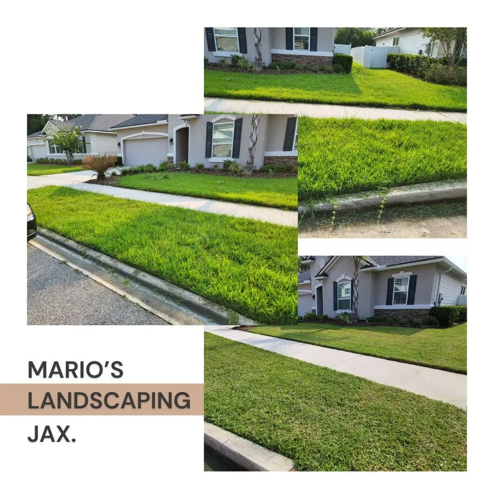 Professional outdoor landscaping experts serving Jacksonville, FL - Marios Landscaping Jax