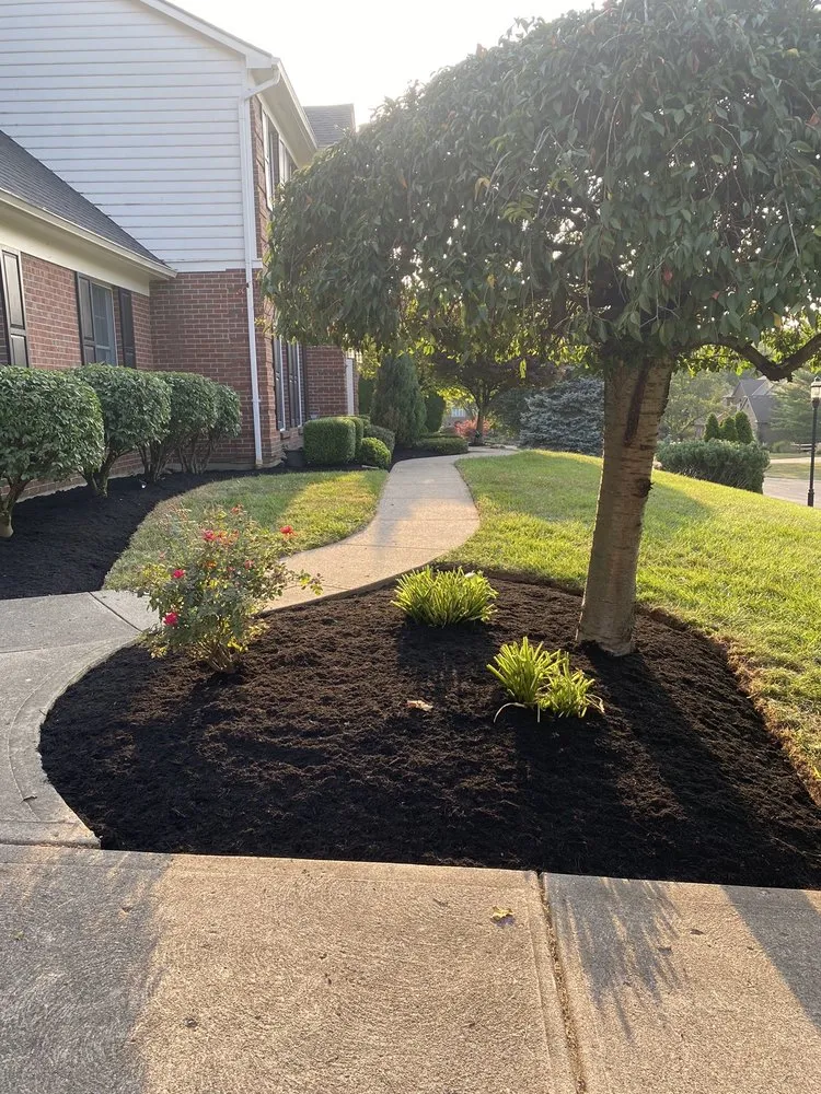 Affordable lawn care service for homes in Olde West Chester, OH by Mario’s Landscaping