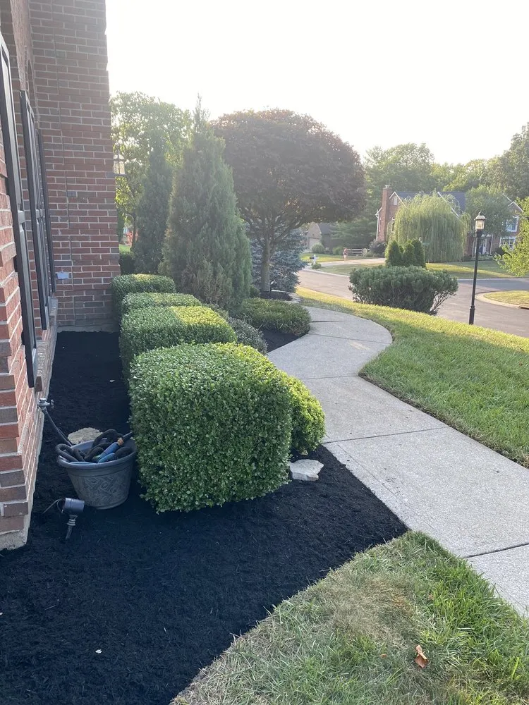 Custom yard cleanup service for beautiful yards in Olde West Chester, OH by Mario’s Landscaping
