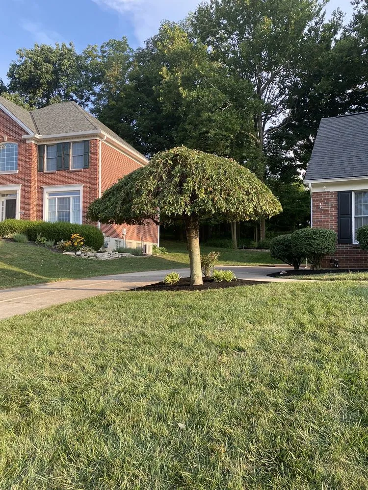 Expert landscape design for residential properties across Olde West Chester, OH - Mario’s Landscaping