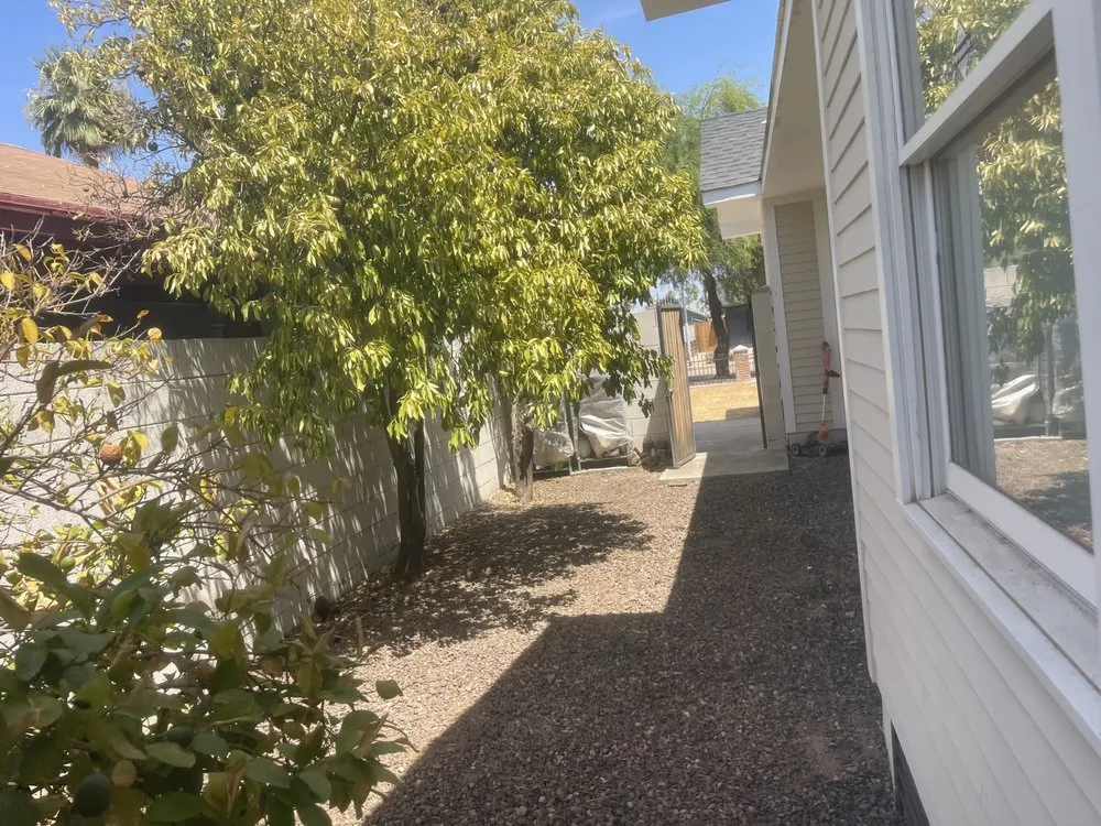 Professional residential landscaping for outdoor upgrades across Phoenix, AZ - Mario's Landscaping