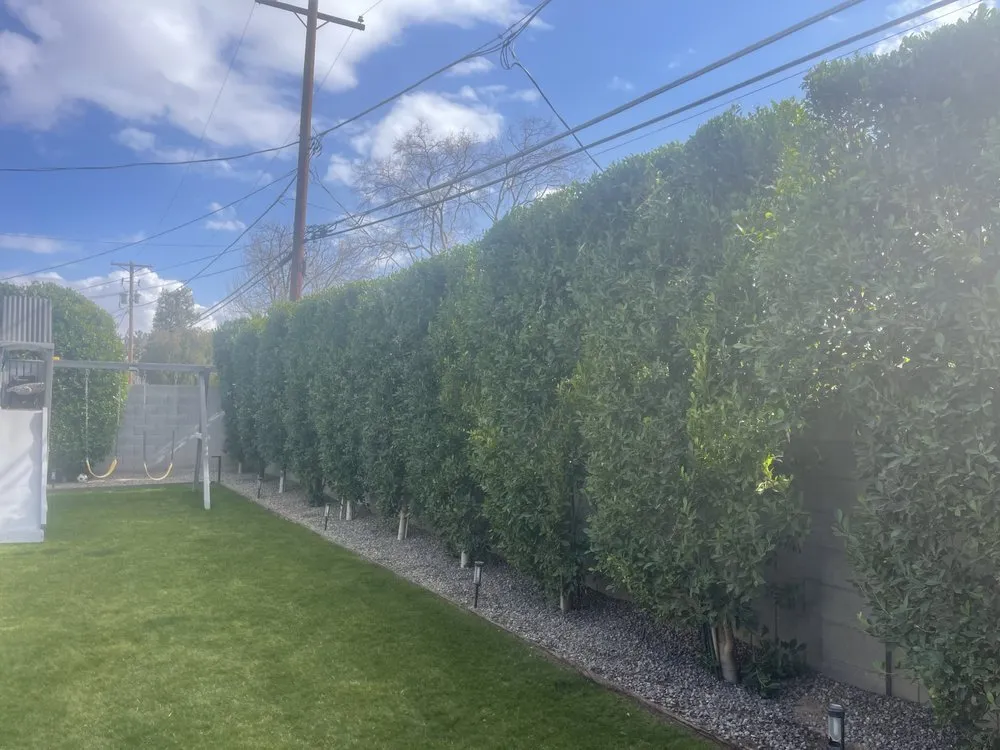 Custom residential landscaping in Phoenix, AZ by Mario's Landscaping