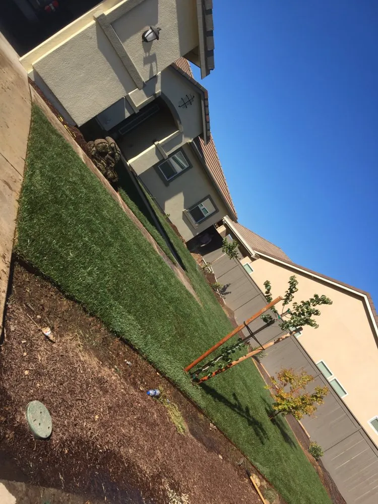 Custom landscape installation experts serving Sacramento, CA - Mario’s landscaping