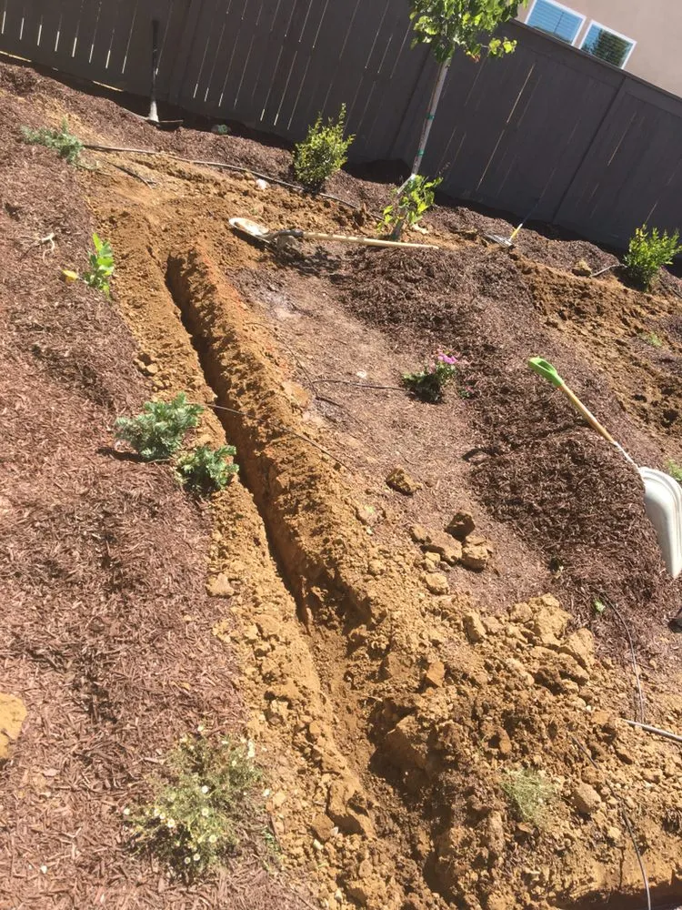 Top-rated landscaping services experts serving Sacramento, CA - Mario’s landscaping