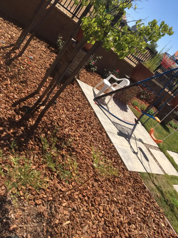 Custom yard cleanup service experts serving Sacramento, CA - Mario’s landscaping