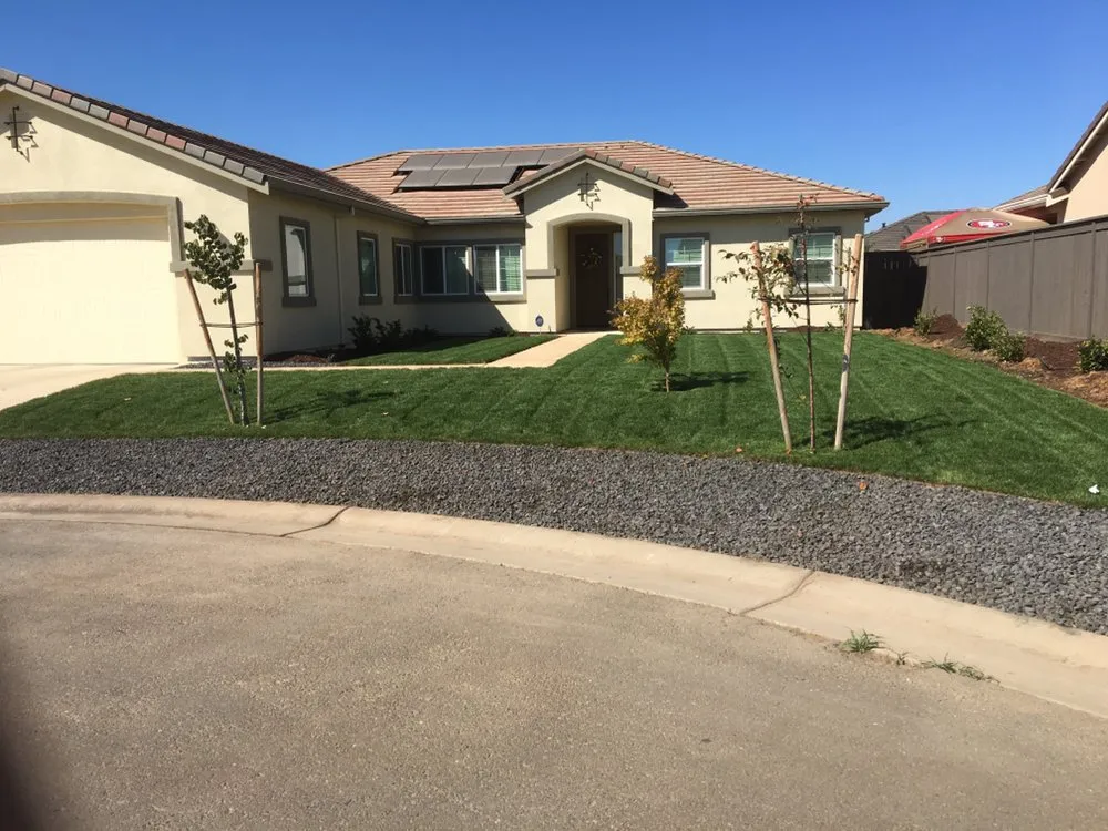 Local yard cleanup service experts serving Sacramento, CA - Mario’s landscaping